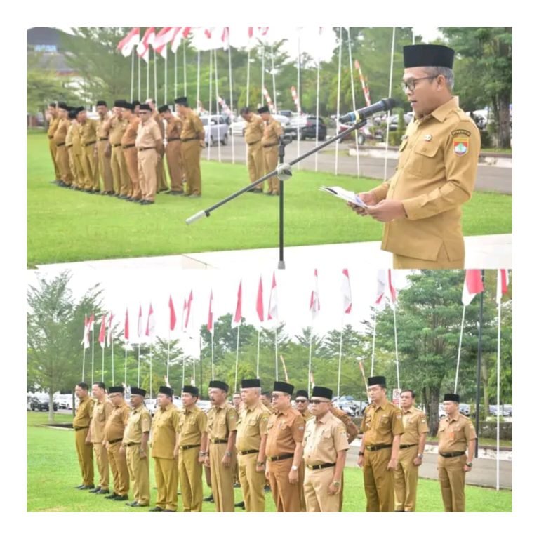 InShot_20250715_181524468